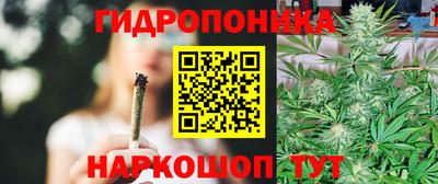 сатива Волжский