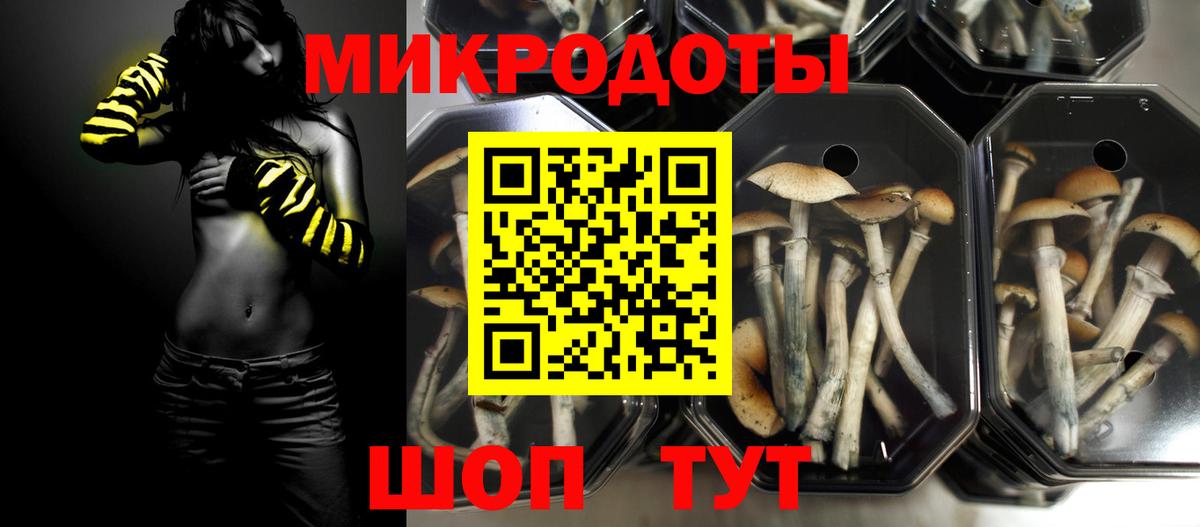 Галлюциногенные грибы прущие грибы  Вход с VPN  Тейково 